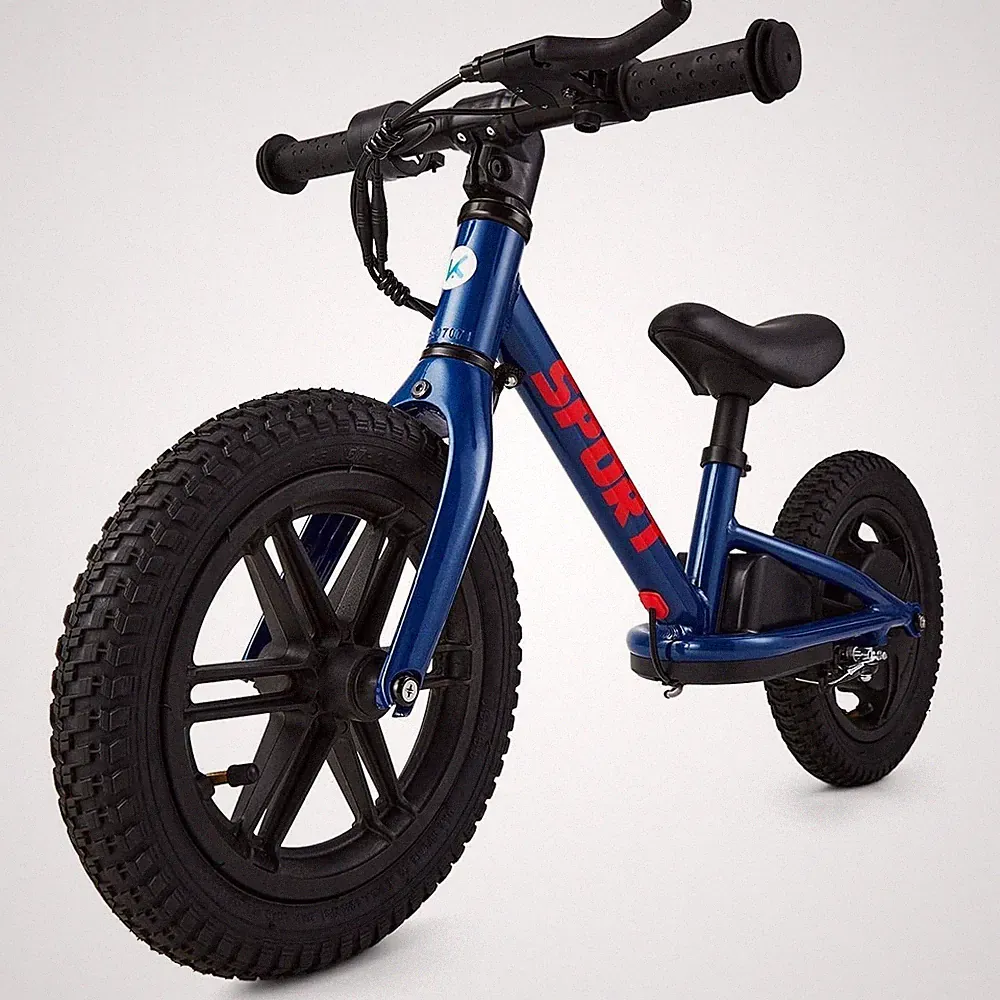 24V 100W Electric Balance Bike for Kids Ages 3-5 Years with 12’’ Inflatable Tire
