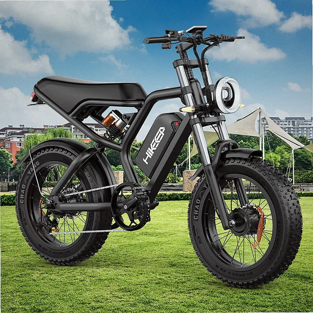 fat tire electric bike