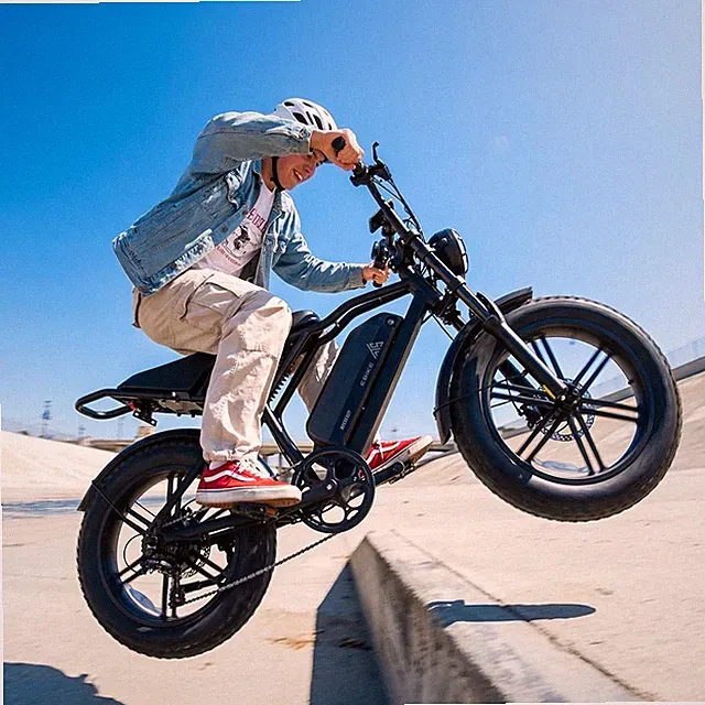 TST R002 20" Fat Tire electric bike 1500W 32MPH Off-Road mountainEbike for Adult